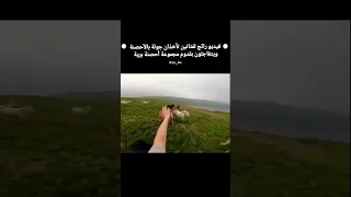 فيديو رائج لفتاتين تأخذان جولة بالخيول ويتفاجئون بقدوم مجموعة خيول برية خيل حصان Horses 