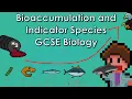 Bioaccumulation and Indicator Species - WJEC Biology