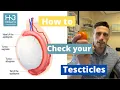 Lagu How to examine your testicles - all you need to know