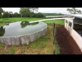 Download Lagu Sustentabilidade e rural business: História de sucesso na produção de leite em Mato Grosso do Sul MS