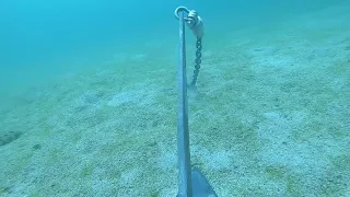 Mantus Anchor Quick Review