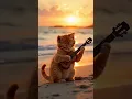 Download Lagu Kucing main gitar #cat #funny #kucing