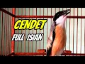 Download Lagu SUARA CENDET GACOR FIGHTER ABIS❗️ MASTERAN CENDET GACOR FULL ISIAN 100% AMPUH UNTUK PANCINGAN CENDET