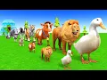 Download Lagu Long Slide Game with Cow Elephant Gorilla Hippopotamus Tiger 3d Animal Game Funny 3d Animals