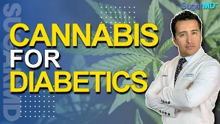 THE TRUTH ABOUT MARIJUANA FOR DIABETES - CAN WEED REALLY HELP