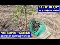 Download Lagu Nie Kupuj Takiego Obornika. Błędy w Stosowaniu Obornika granulowanego. Jak i Kiedy Stosować Jesienią