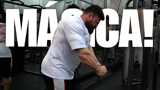 NOVO TREINO PARA TRÍCEPS TEIMOSOS QUE NÃO CRESCEM (ADEUS BRAÇO FINO)