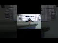 How a Turntable Stylus Works