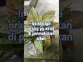 Download Lagu # tiga orang yg akan di permalukan allah #