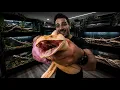 Inside my EXOTIC REPTILE Room You Wont Believe It