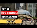 Top 5 Dog-Friendly Restaurants in Chicago