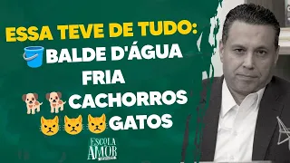ESSA TEVE DE TUDO: 🪣Balde d'água fria🐕🐕Cachorros😾😾😾Gatos