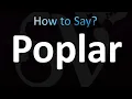How to Pronounce Poplar Tree CORRECTLY