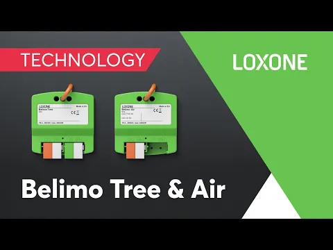 Neu: Belimo Tree & Air I 2022 I 4K