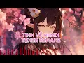 Lagu TINH VỆ (精卫) - JAPANDEE REMIX [Yexer Remake]