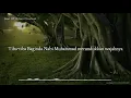 Download Lagu Kisah Kerinduan Rasulullah Kepada Umatnya