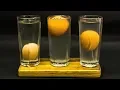 5th Grade Science Projects Floating Egg