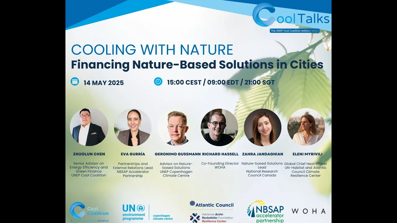 Cooling with Nature: Financing Nature-Based Solutions in Cities