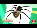 Spider Climb 5e Cost of sleepers boots 3 5 Potion in dnd