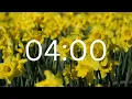 4 Minutes Timer with Calm Soft Relaxing Music