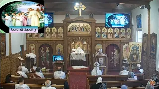 ما هو الفرح أبونا متاؤس فاخورى 