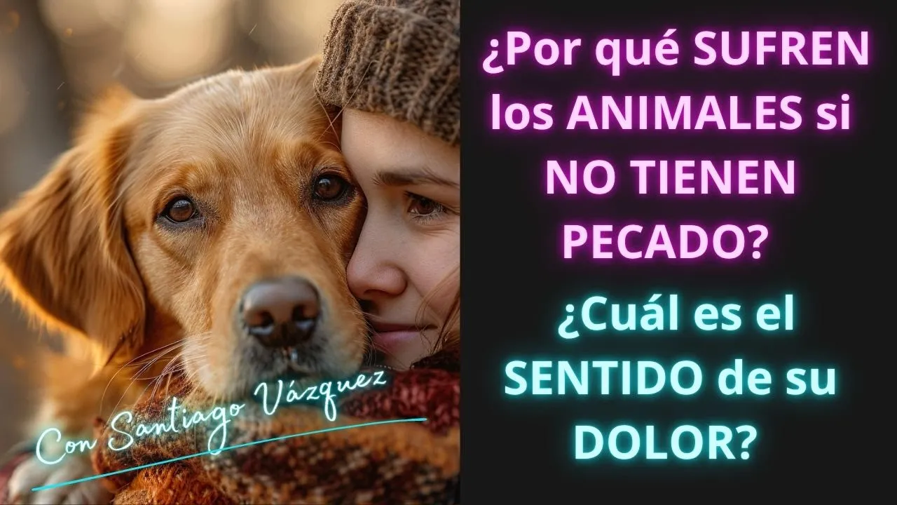 ¿Por qué SUFREN los ANIMALES si NO TIENEN PECADO? ¿Cuál es el SENTIDO de su DOLOR?