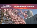 How to spend spring break in Oregon