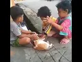Download Lagu Viral! Anak jatuh ke selokan bikin ngakak😂😂😂
