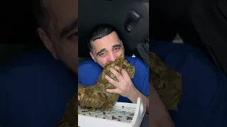 اكبر ورق عنب بالعالم Food 