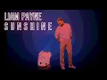 Liam Payne - Sunshine (Disco House Remix) #liampayne #sunshine