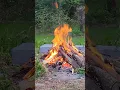 Download Lagu #reallife #love #outdoors #bonfire #nature #summer #shorts #letsgo #camping #fire #relaxing #behappy