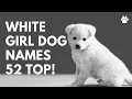 White Girl Dog Names 52 BEST TOP CUTE Female Ideas Names