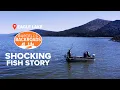 Eagle Lake Trout The tasty fish unique to California Bartell s Backroads