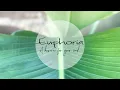 Euphoria Spa s Wellness Journey in Frenchtown NJ