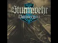 Download Lagu Sturmwehr - Donnergott