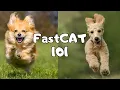How To Start FastCAT