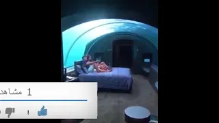 حالات واتساب مش كمارسى فى افلامى عسل الجمال وغذاء ملك حمو بيكا  دندنها