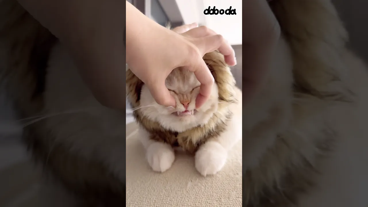 사자의 후예🦁