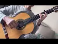 雙星情歌 (The Lover’s Song) - 許冠傑Sam Hui, Guitar solo