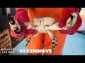 Why Stone Crab Claws Are So Expensive So Expensive
