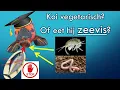 Download Lagu Waarom geef jij je koi Sardientjes?