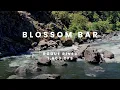 Three Great Blossom Bar Lines at 1600 CFS Rogue River
