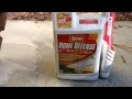 Download Lagu How to get rid of fleas in 10 Mins for Cheap