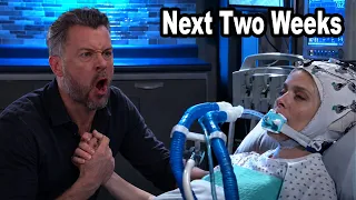 Days of Our Lives Spoilers Next 2 Weeks August 24 to September 4 2026 DOOL Next 2 Weeks
