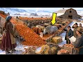 She Hauled Home 18 Wagonloads of Cull Carrots for Free Her Herd Was the Only One Fed by March