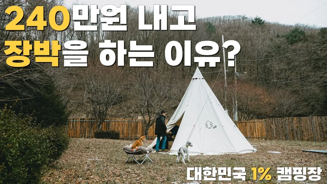 대한민국 1% 캠핑장 다녀왔습니다 l 평창 휘게포레스트 l 동계캠핑 サムネイル