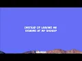 Joy Again - Looking Out For You (Lyrics)