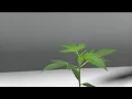 Virginia dispensaries preparing to take a hit on sales as new law goes into effect