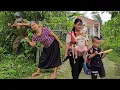 Download Lagu Mother-in-Law’s Plot: Can the Police Save Cu Bon’s Family?
