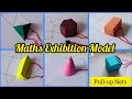 3D Shapes Net Maths Working Model Maths Pull Up Net 3D Shapes Project